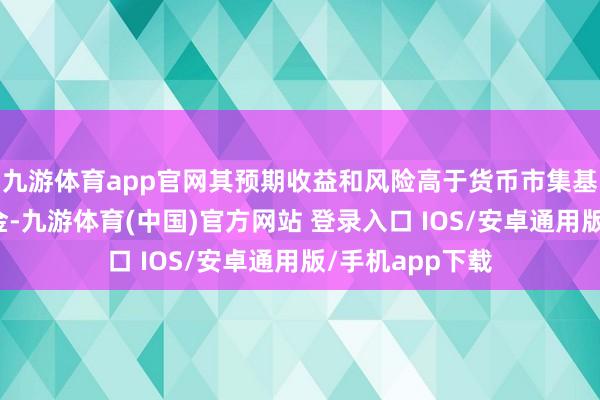 九游体育app官网其预期收益和风险高于货币市集基金和债券型基金-九游体育(中国)官方网站 登录入口 IOS/安卓通用版/手机app下载