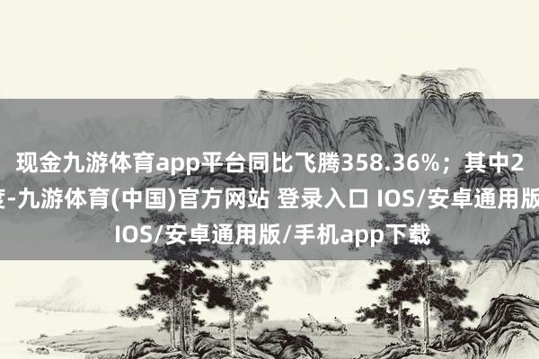 现金九游体育app平台同比飞腾358.36%；其中2024年第三季度-九游体育(中国)官方网站 登录入口 IOS/安卓通用版/手机app下载