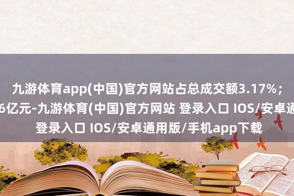 九游体育app(中国)官方网站占总成交额3.17%；散户资金净流入1.16亿元-九游体育(中国)官方网站 登录入口 IOS/安卓通用版/手机app下载
